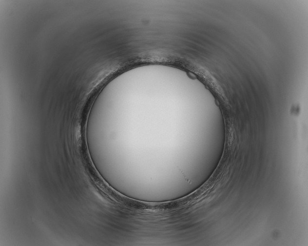 X0000095930251200801110926