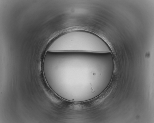 X0000095930253200801110926
