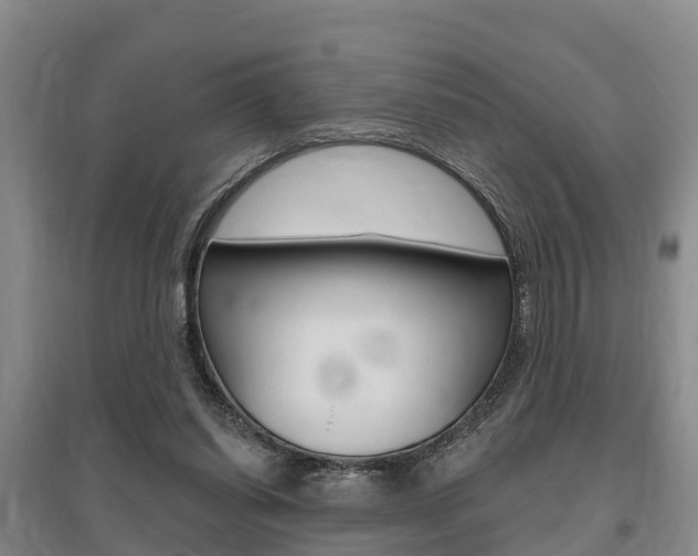 X0000095930254200801110926