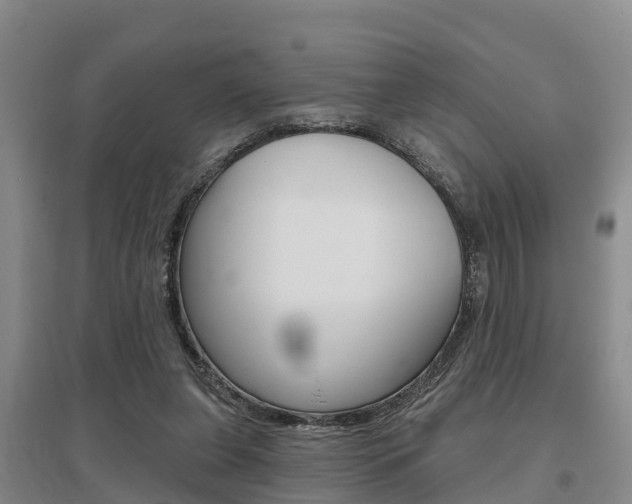 X0000095930255200801110926