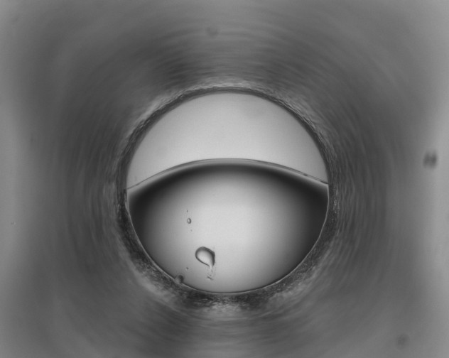 X0000095930256200801110926