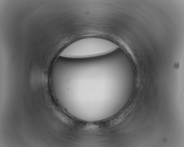 X0000095930257200801110926