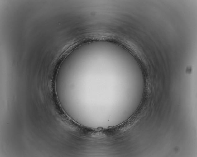 X0000095930258200801110926