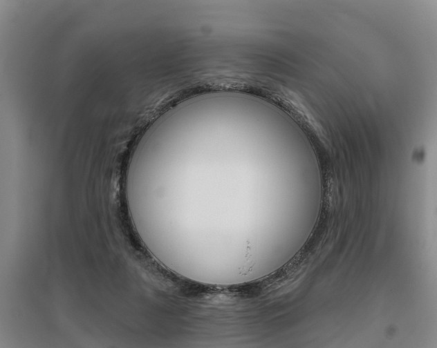 X0000095930259200801110926