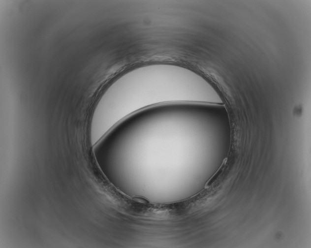 X0000095930260200801110926