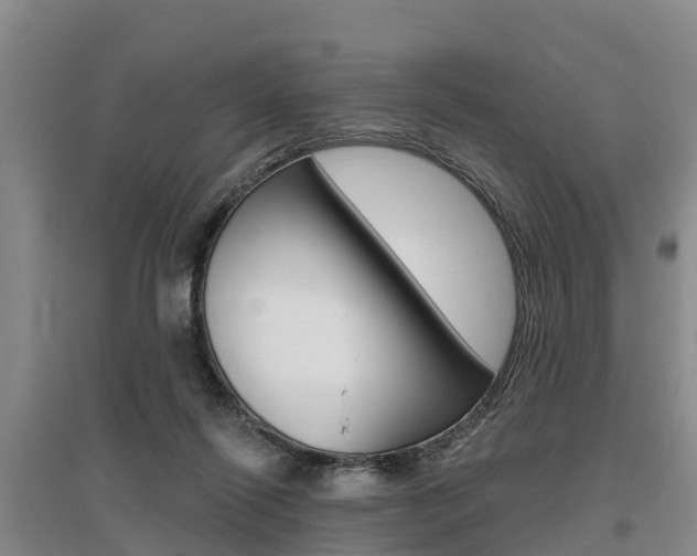 X0000095930262200801110926