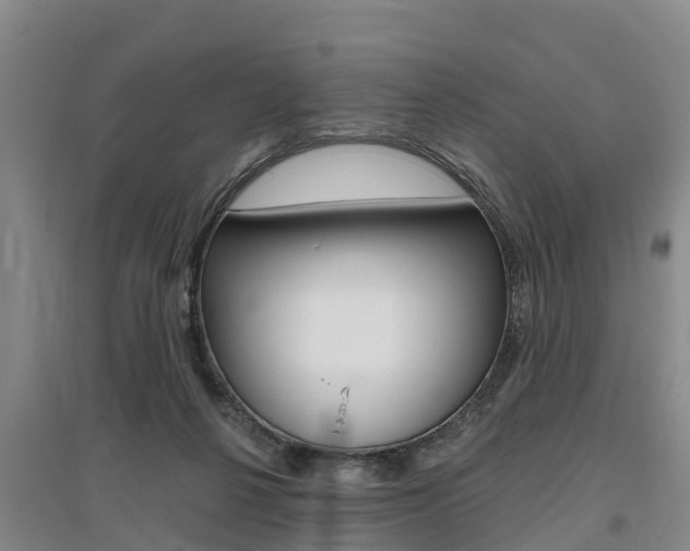 X0000095930264200801110926