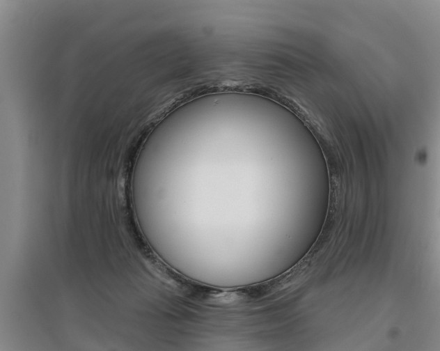 X0000095930269200801110926