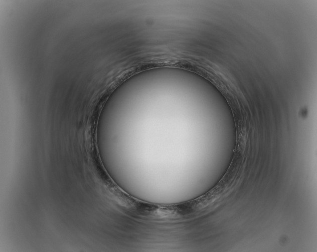 X0000095930270200801110926