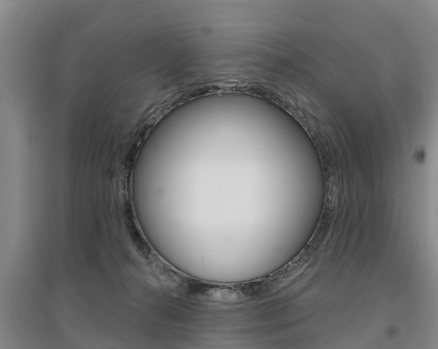 X0000095930272200801110926