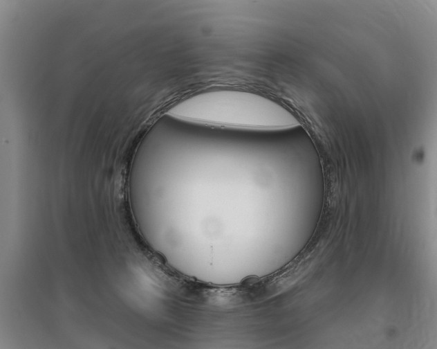X0000095930273200801110926