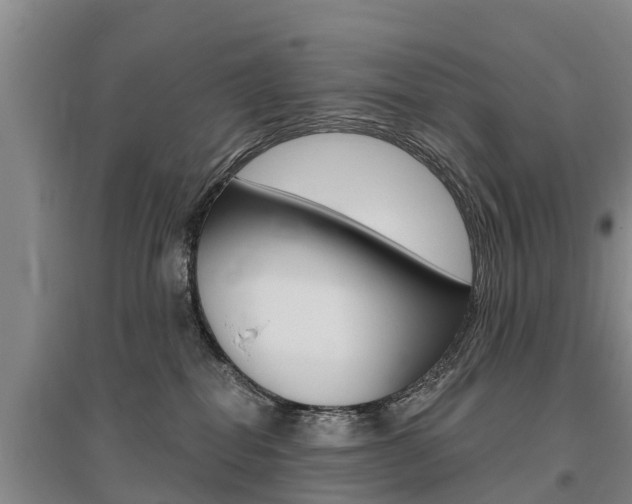 X0000095930282200801110926