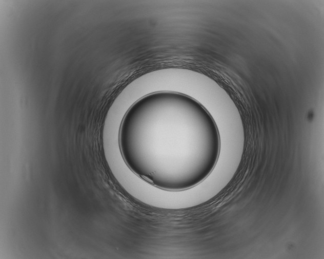 X0000095930284200801110926