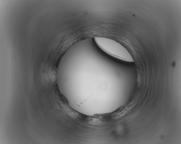 X0000095930285200801110926