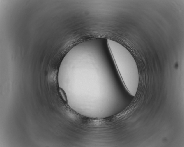 X0000095930286200801110926