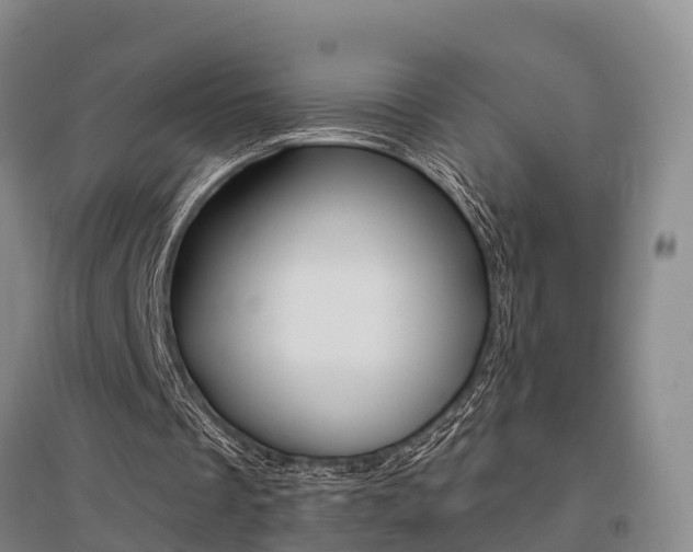 X0000095930289200801110926