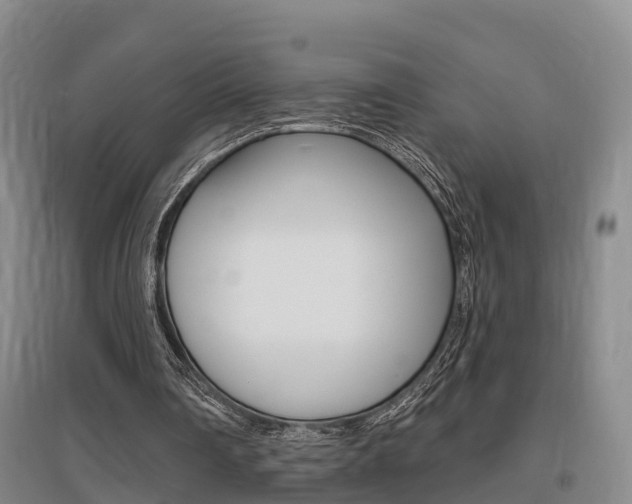 X0000095930290200801110926