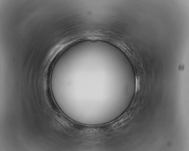 X0000095930291200801110926