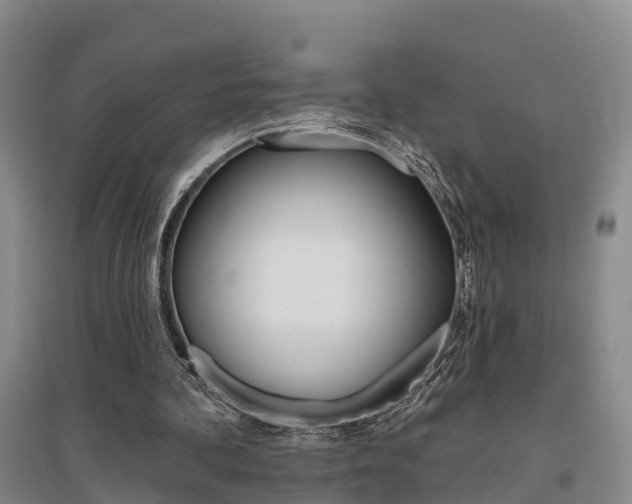 X0000095930292200801110925