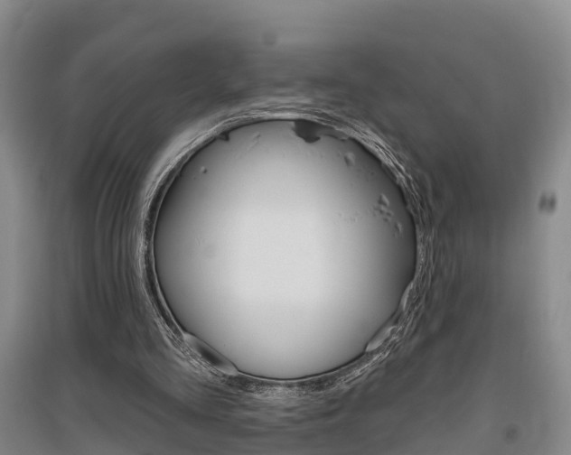 X0000095930293200801110925