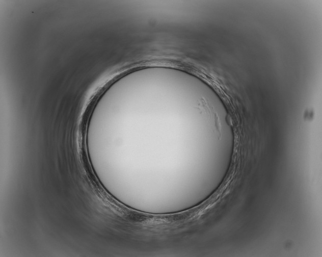X0000095930294200801110925