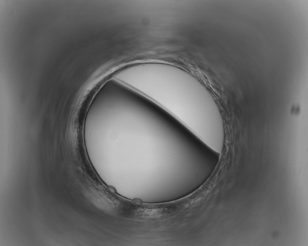 X0000095930295200801110925