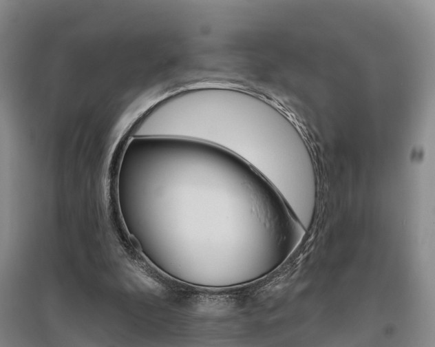 X0000095930296200801110925