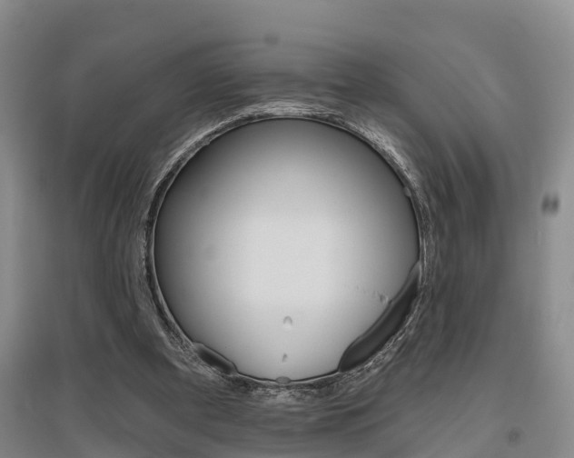 X0000095930297200801110925