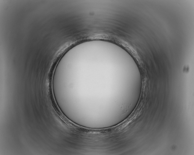 X0000095930298200801110925