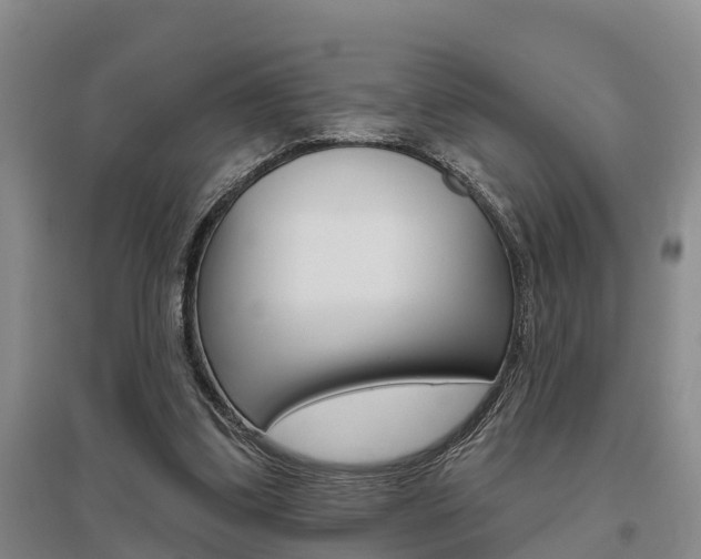 X0000095930299200801110925
