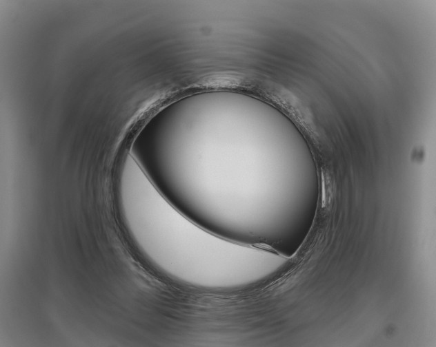 X0000095930300200801110925