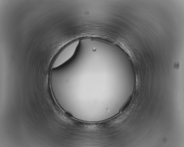 X0000095930301200801110925