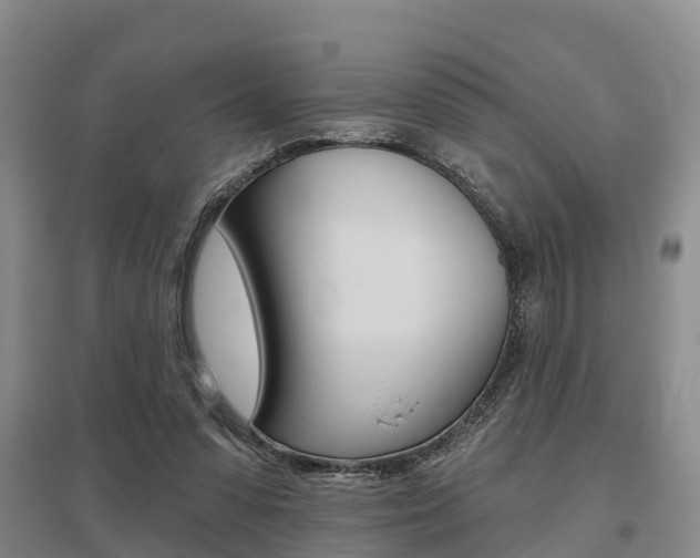 X0000095930303200801110925