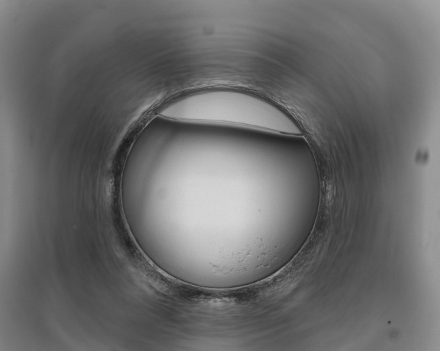 X0000095930304200801110925