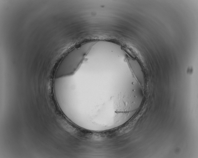 X0000095930305200801110925