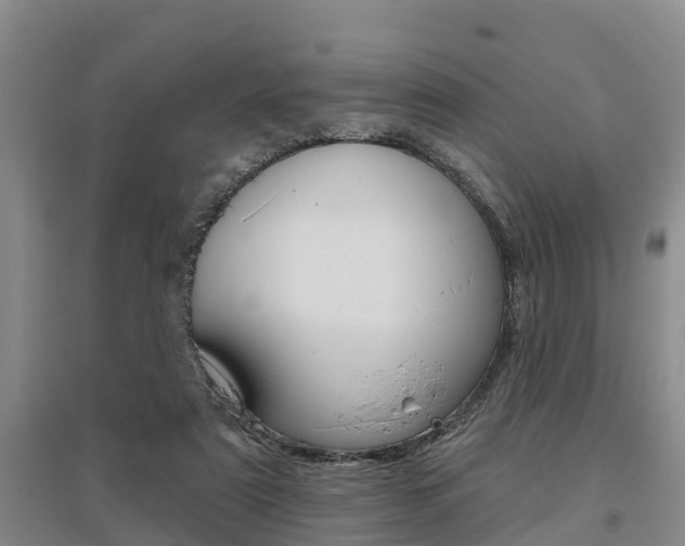 X0000095930307200801110925