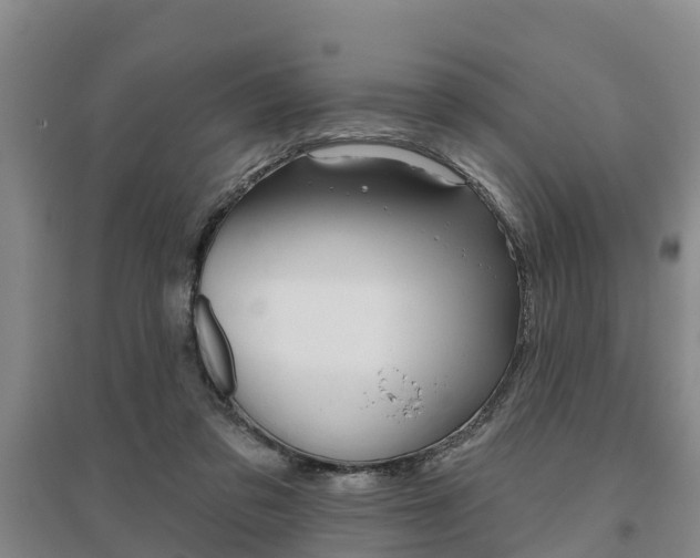X0000095930309200801110925