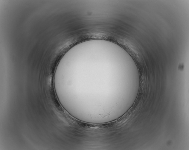 X0000095930310200801110925
