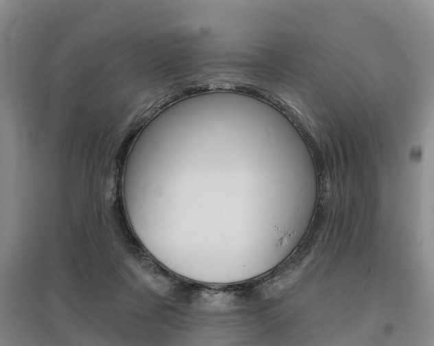 X0000095930311200801110925