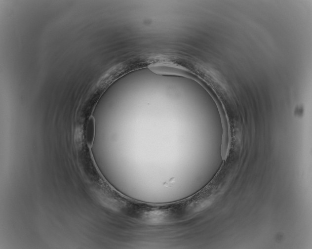X0000095930312200801110925