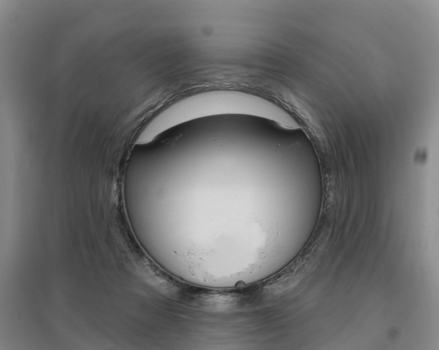 X0000095930313200801110925