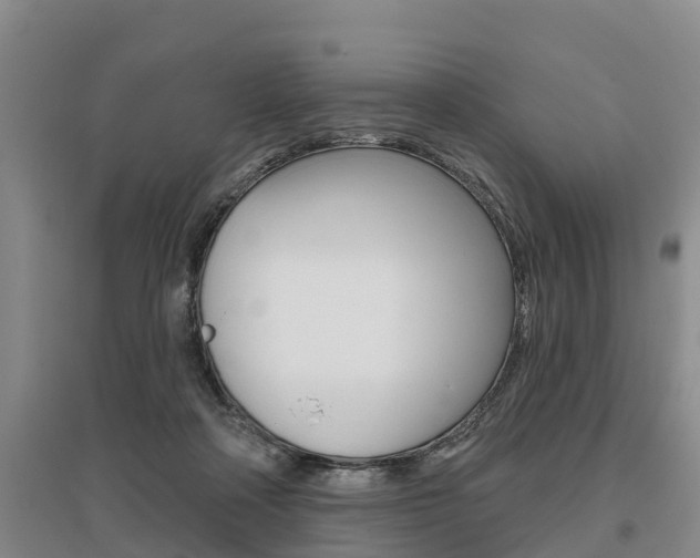 X0000095930314200801110925