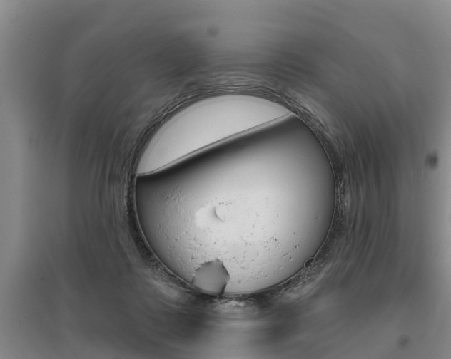 X0000095930315200801110925