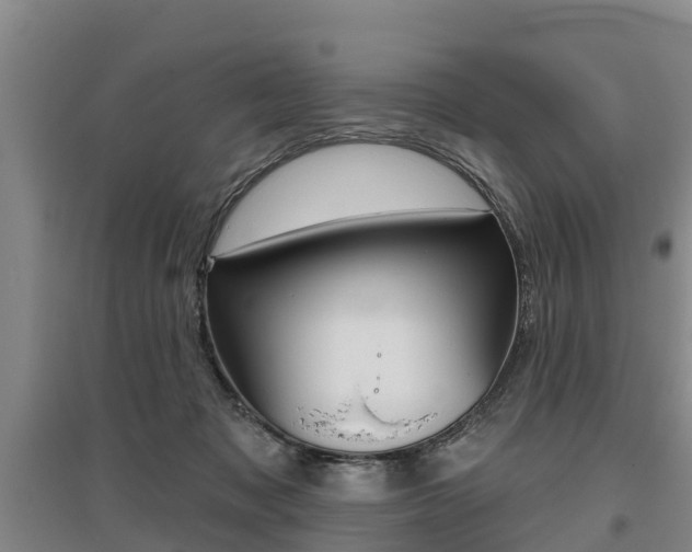 X0000095930317200801110925