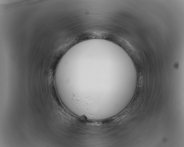 X0000095930318200801110925