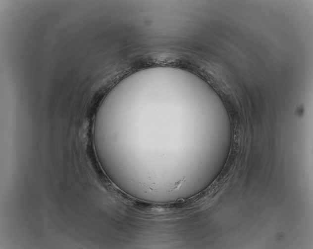 X0000095930319200801110925