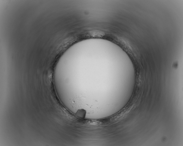 X0000095930321200801110925