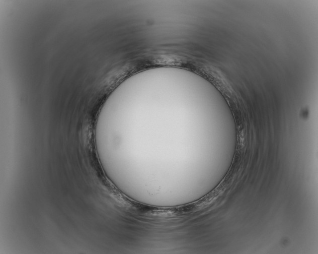 X0000095930322200801110925