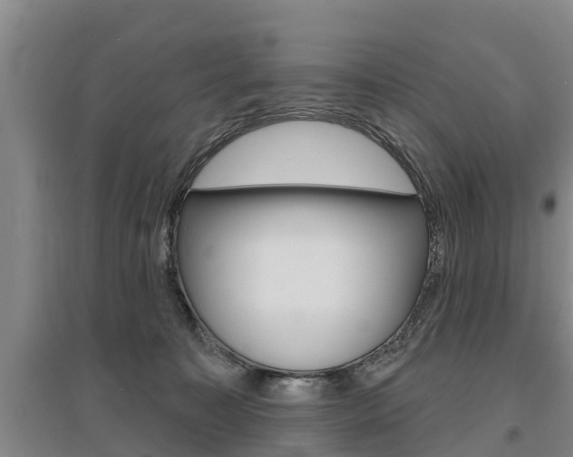 X0000095930323200801110925