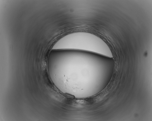 X0000095930324200801110925